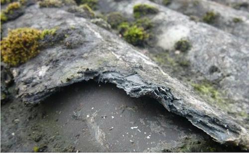 eterclean asbest verwijderaar