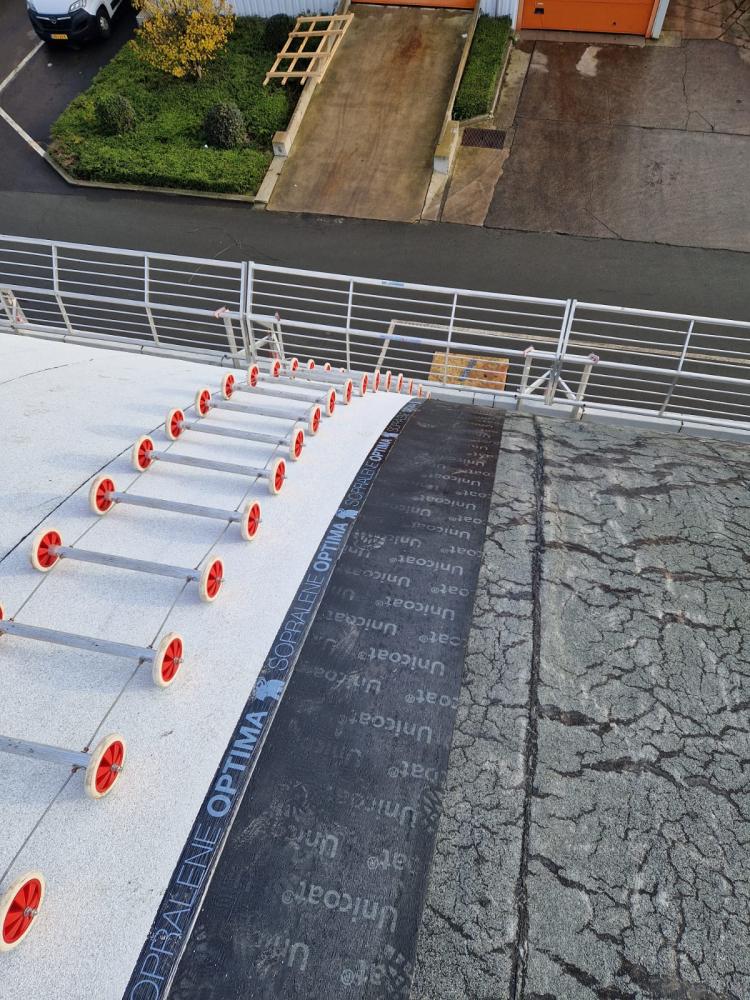 Transformatie van een industrieel parabooldak boven